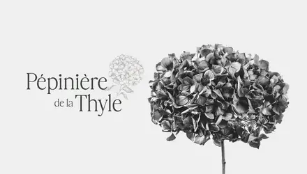 La Pépinière de La Thyle projet web réalisé par Fidelo