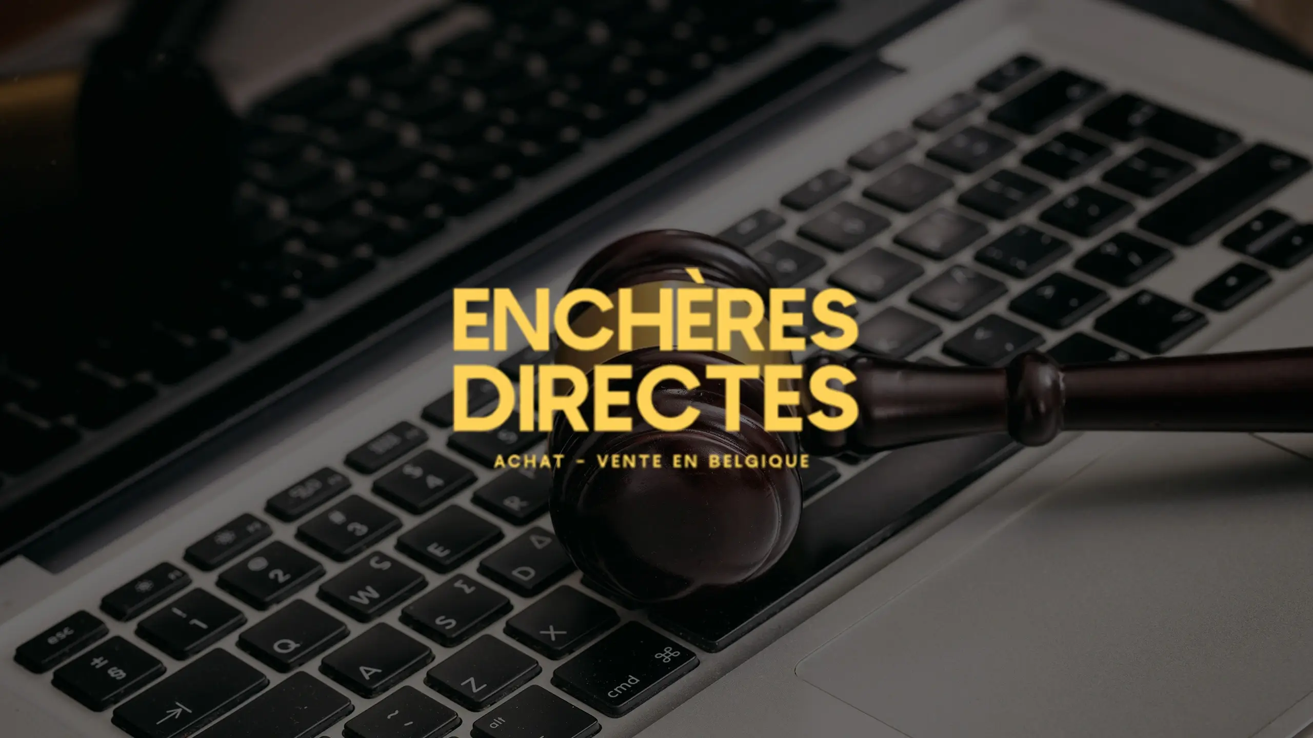 Enchères Directes article Fidelo Agency